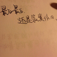 春分燕子