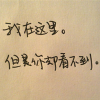 血月狐影