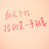 小黄鸭警长
