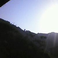 墨羽生