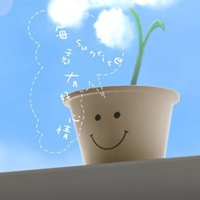 落花