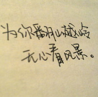 奶酪软软