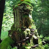 山川有梦